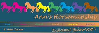 Anns Horsemanship