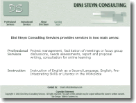 Dini Steyn Consulting